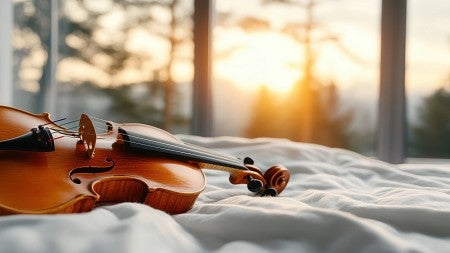 violin at sunrise